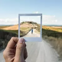 The Brain's Shared Pathways for Seeing and Imagining